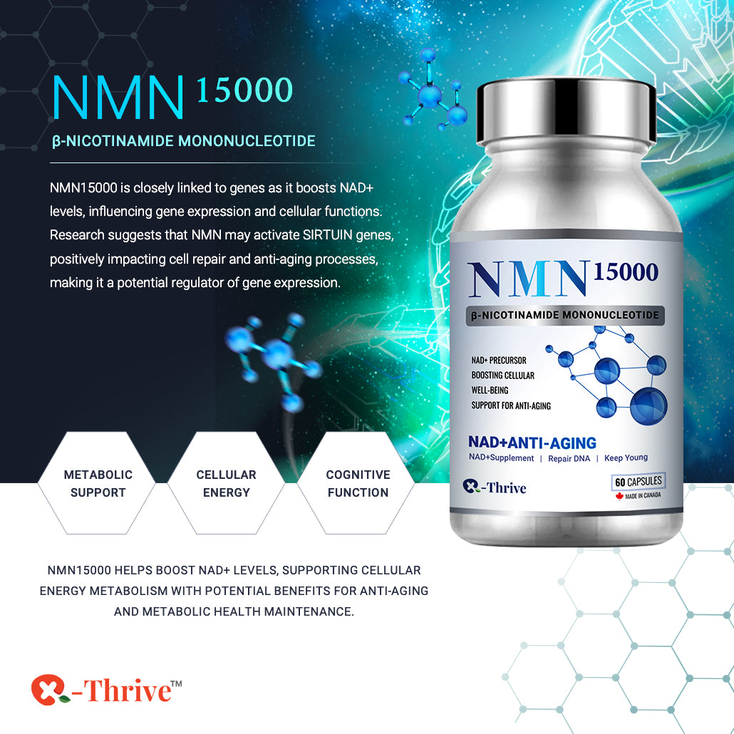 X-Thrive NMN15000 showcases the revolutionary anti-aging compound NMN, fostering youthful cellular function and bolstering DNA repair, energy metabolism, and cognitive well-being.
